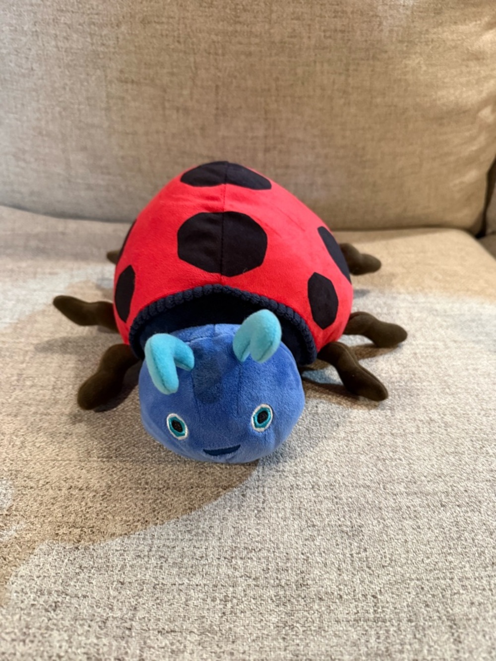 Plush Ladybug Hideaway Toy - Blue & Red